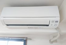 s-800dsc_6516
