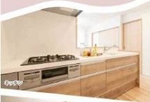 %e3%83%89%e3%83%a0%e3%83%bc%e3%83%ab%e5%8d%97%e6%81%a9%e5%8a%a0%e5%b3%b6505%e5%8f%b71990-tc-%e3%82%b3%e3%83%94%e3%83%bc-%e3%82%b3%e3%83%94%e3%83%bc-2