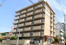 %e3%83%89%e3%83%a0%e3%83%bc%e3%83%ab%e5%8d%97%e6%81%a9%e5%8a%a0%e5%b3%b6%e5%a4%96%e8%a6%b302