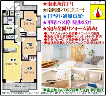 %e3%83%89%e3%83%a0%e3%83%bc%e3%83%ab%e5%8d%97%e6%81%a9%e5%8a%a0%e5%b3%b6505%e5%8f%b71990%e2%87%921890%e2%87%921790-tc-%e3%82%b3%e3%83%94%e3%83%bc